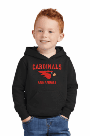Port & Company® Toddler Core Fleece Pullover Hooded Sweatshirt - Center Chest Logo